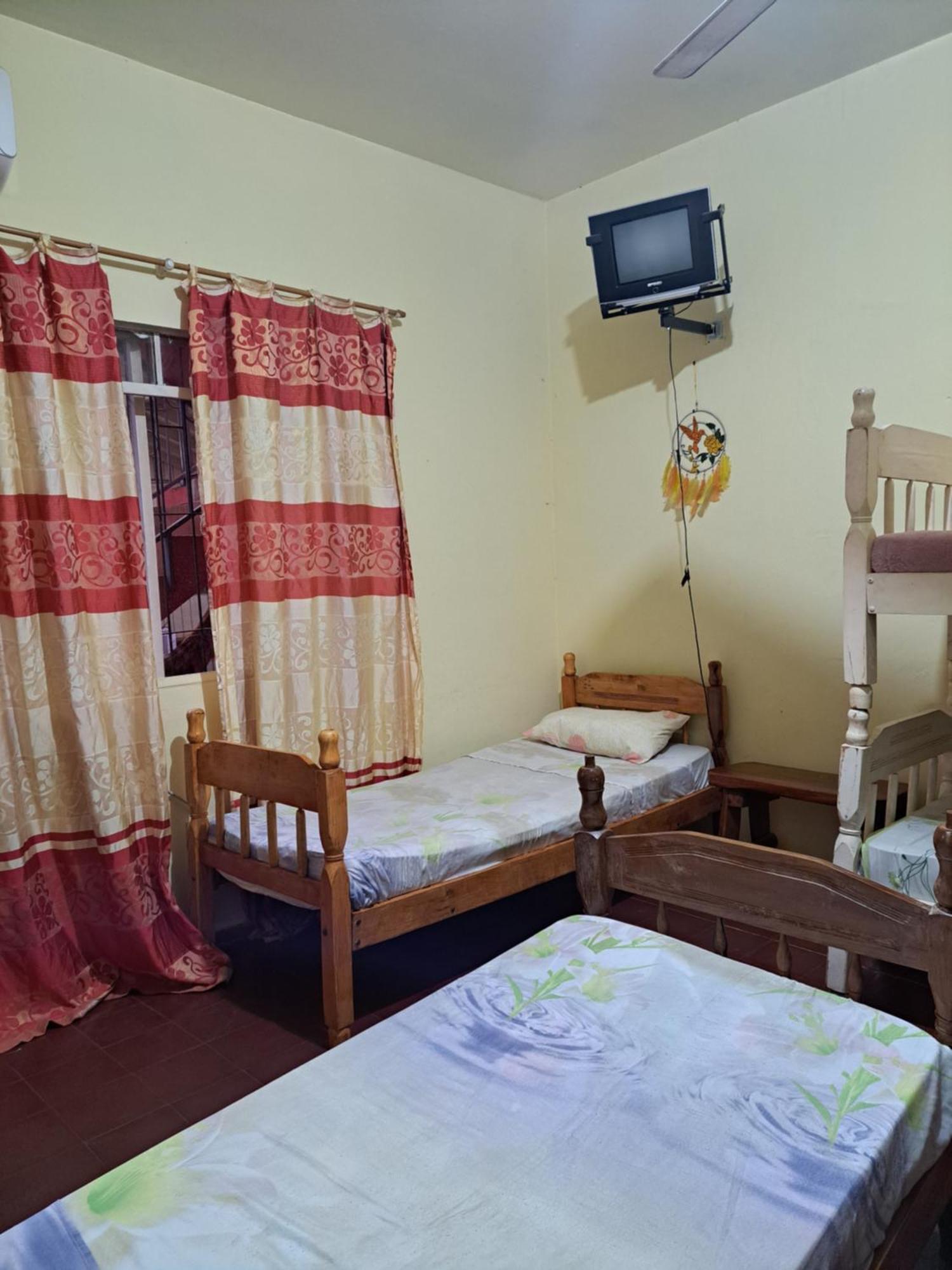 Hummingbird Hostel سيوداد ديل إستي المظهر الخارجي الصورة