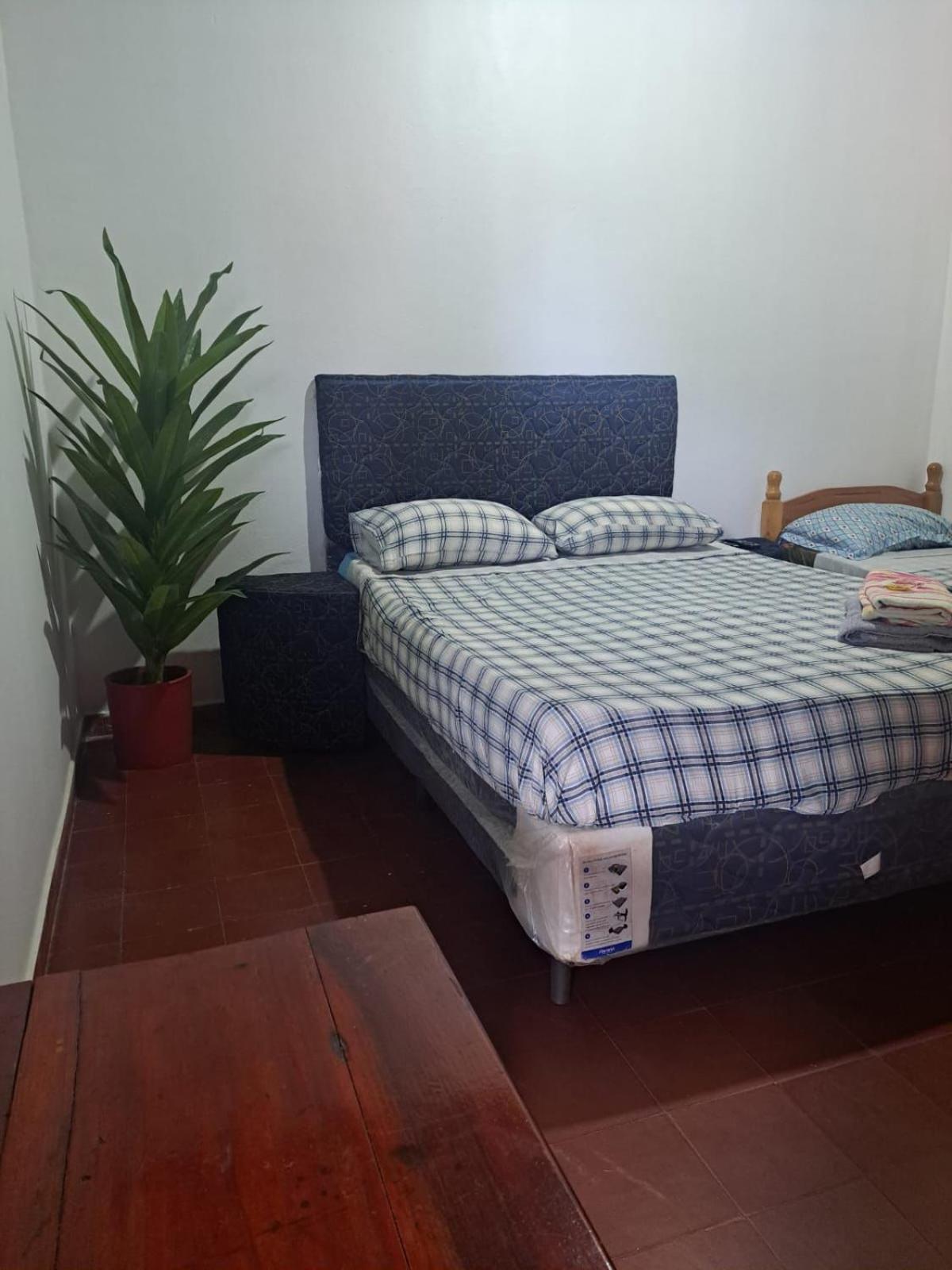 Hummingbird Hostel سيوداد ديل إستي المظهر الخارجي الصورة