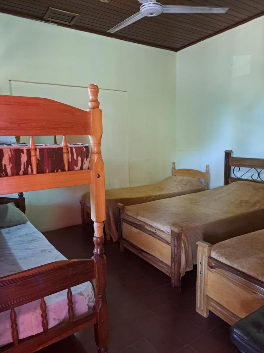Hummingbird Hostel سيوداد ديل إستي المظهر الخارجي الصورة