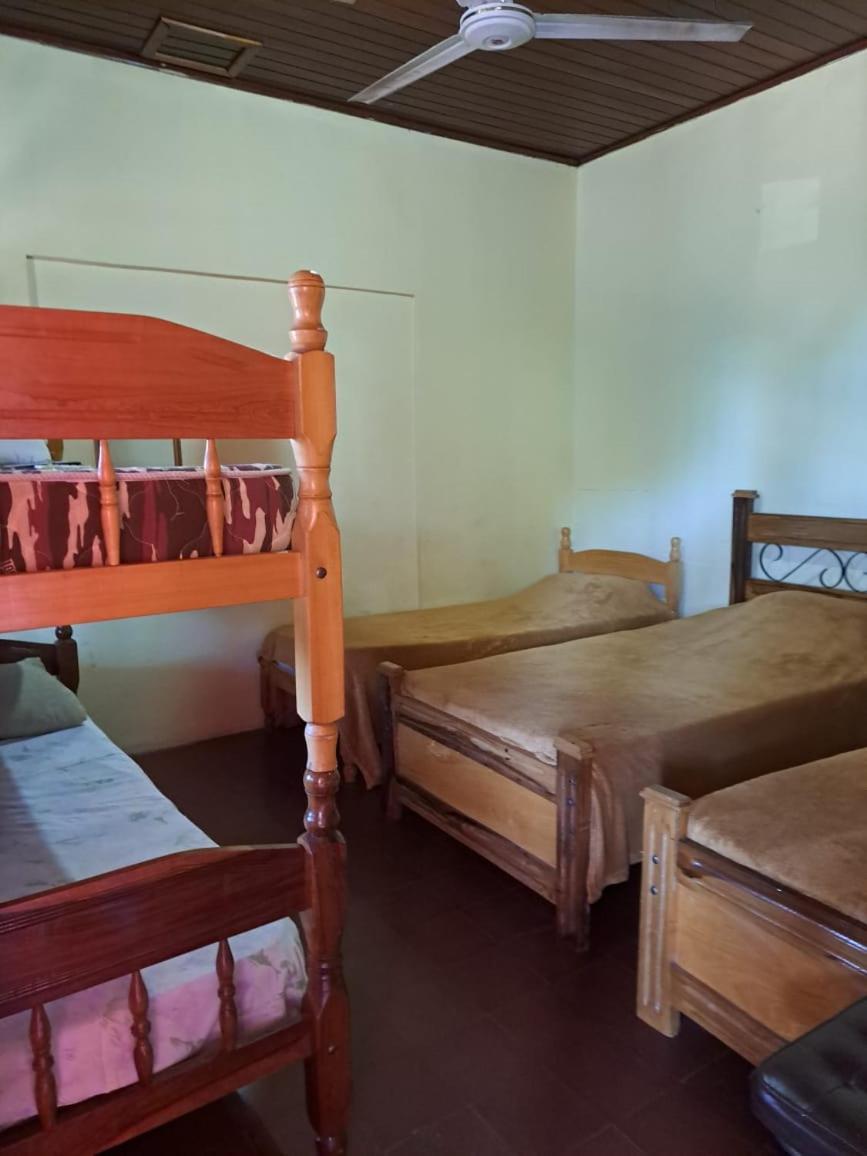 Hummingbird Hostel سيوداد ديل إستي المظهر الخارجي الصورة