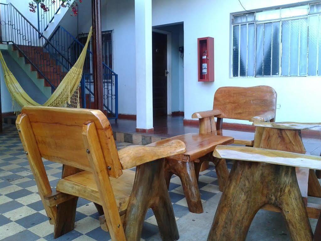 Hummingbird Hostel سيوداد ديل إستي المظهر الخارجي الصورة